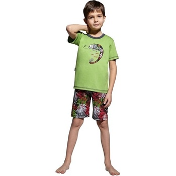 Taro chlapecké pyžamo 392Chameleón