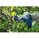 Záhradné nožnice Bosch Pro Pruner Professional 0.601.9K1.020