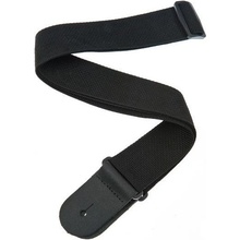 Planet Waves PWS100