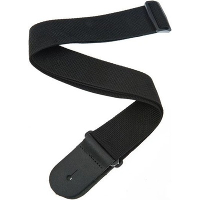 Planet Waves PWS100