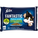 Felix Fantastic ká venkovská chuť v želé z lososa pstruha a zeleniny 4 x 85 g