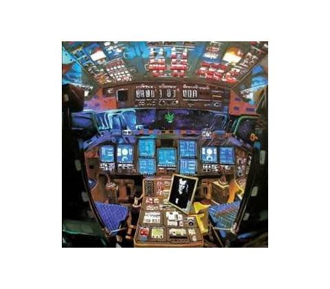 Damaged Bug - Hubba Bubba LP