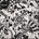 Quasi - Mole City (2 LP) (887828031214)