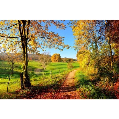 Dimex MS-5-0066 vliesová fototapeta na zeď Lúka rozmery 375 x 250 cm