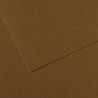 Canson Mi-Teintes A4 Dark Brown 501 160 g Цветна хартия (C31033S037)