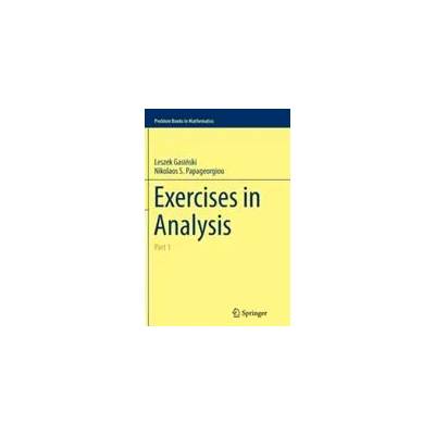 Exercises in Analysis | Leszek Gasinski, Nikolaos S. Papageorgiou