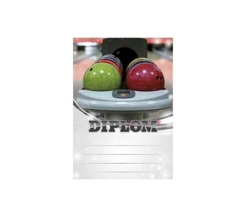 Diplom 6670