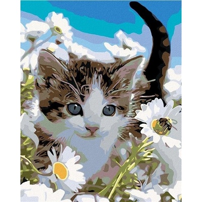 Zuty Malování podle čísel Kotě v kopretinách 80 x 100 cm vypnuté plátno na rám