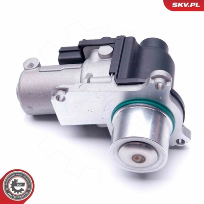 AGR-Ventil ESEN SKV 14SKV170