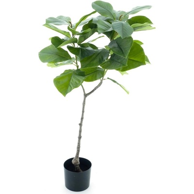 Fíkus - Ficus benghalensis v květináči zelený V170 cm (N520691)