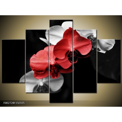 Moderní obraz F002728F150105 (Pětidílný 150x105 cm)