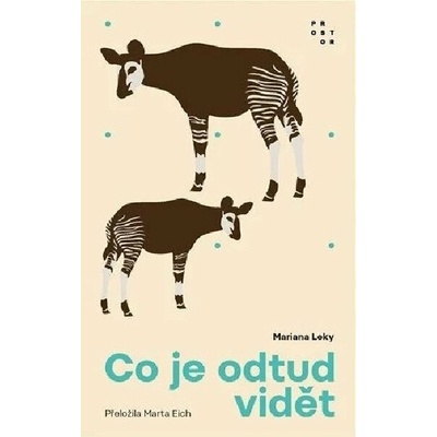 Co je odtud vidět