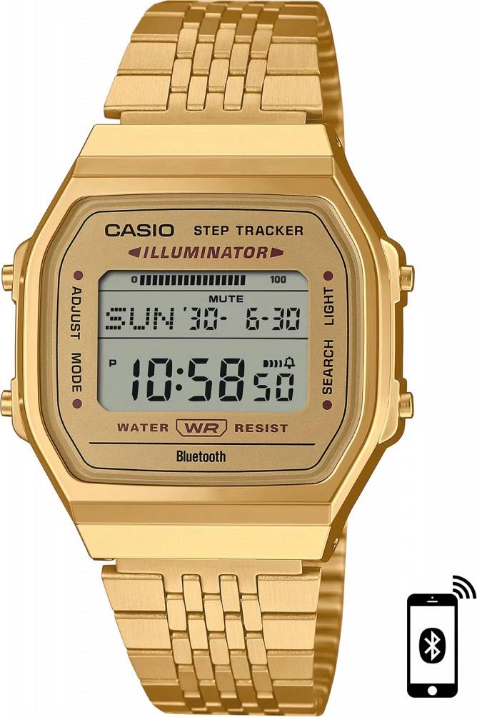 Casio ABL-100WEG-9A