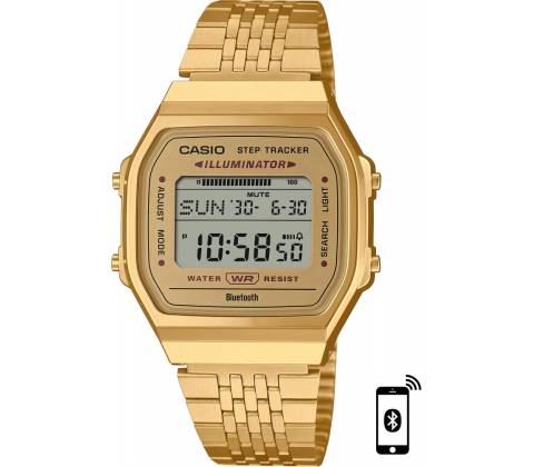 Casio ABL-100WEG-9A