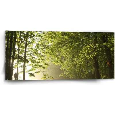 Sablio Obraz Lesná cestička - 110x50 cm