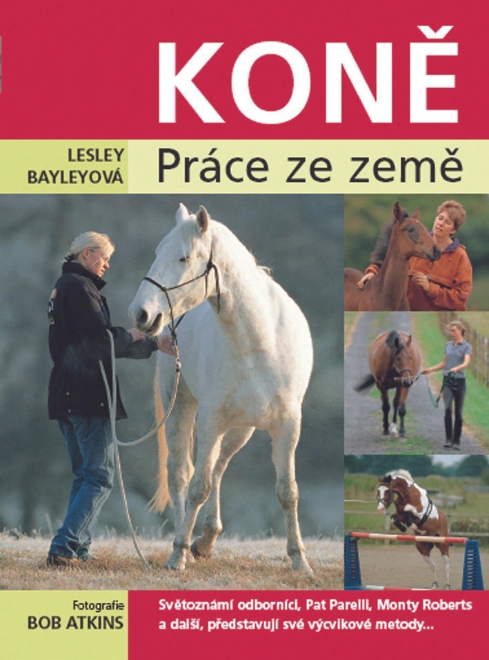 Koně