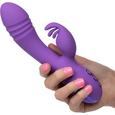 CalExotics west coast wave rider rabbit