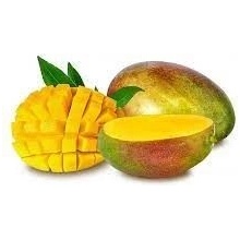 Sedmokráska ovocný sirup Mango určený na prípravu obľúbených domácich limonád a miešaných nápojov s vôňou exotiky 0,5 l