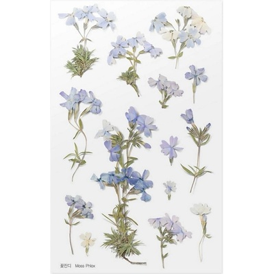 Appree Dekorativní květinové samolepky Phlox