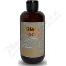 Glow Room Hydration+ šampon na suché vlasy 250 ml
