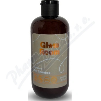 Glow Room Hydration+ šampon na suché vlasy 250 ml