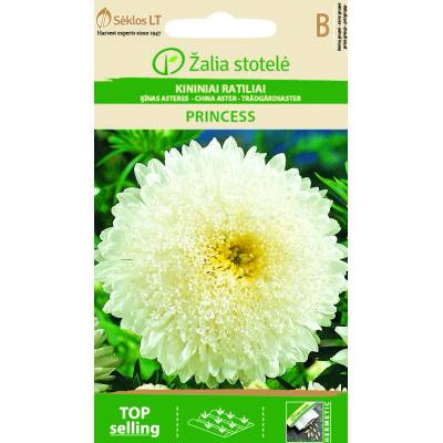Seklos Астри Бяла Принцеса Callistephus chinensis L Ness Princess