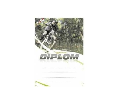 Diplom 6646