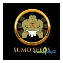 Sumo Seeds Purple Fruit semena neobsahují THC 3 ks