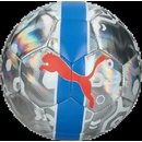 Puma CUP