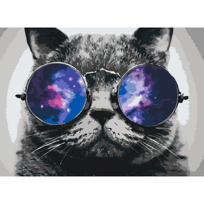 MALUJEŠ Malování podle čísel KOCOUR V BRÝLÍCH 60 x 80 cm bez rámu a bez vypnutí plátna