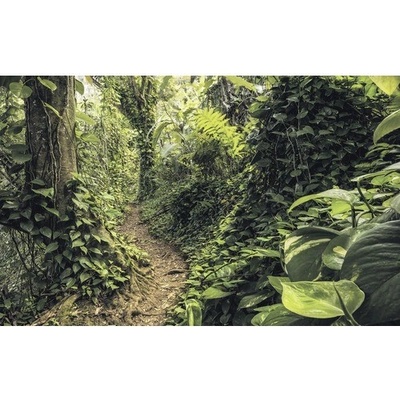 SH072-VD4 Fototapeta vliesová Path of Dreams 4-dílná rozměry 400x250 cm
