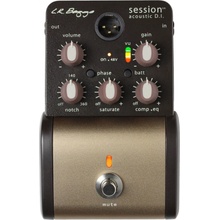 L.R. Baggs Session DI