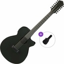 Ibanez AEG1221-BOT Basic SET