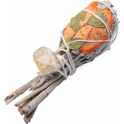 Nefertitis Šalvěj bílá Cleansing Energy vykuřovací svazek NF27654 cca 10 cm