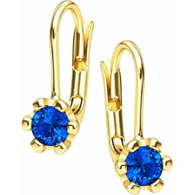 Zlaton Náušnice žluté zlato visací s kamenem 1.3cm 1.20g N15052602856
