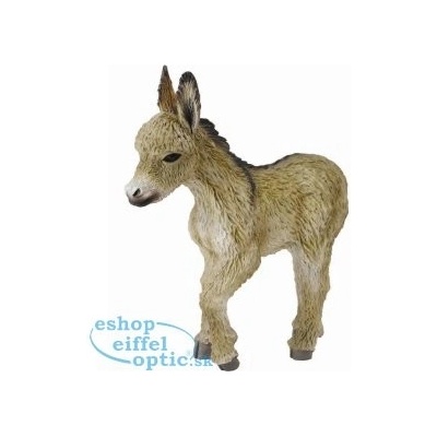 Collecta Osel hříbě