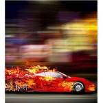 DIMEX ART Флизелинов фототапет състезание кола 225 x 250 см
