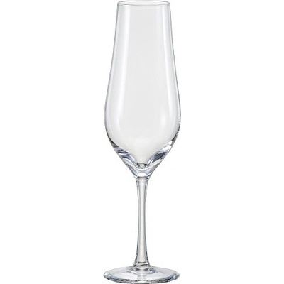 Crystalex Sklenice na sekt TULIPA 6 x 170 ml