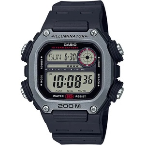 Casio DW-291H