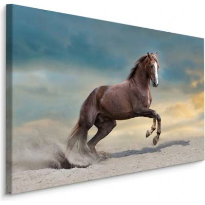 MyBestHome BOX Plátno Majestátní Kůň V Poušti Varianta: 100x70