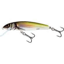 Salmo MINNOW-HB M7S 7 cm