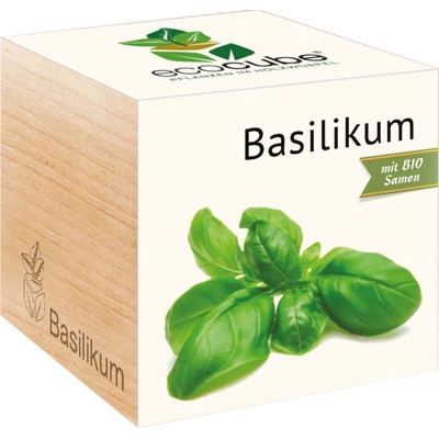 Feel Green ecocube "Bylinky" bazalka