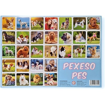 Pexeso Pes