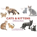 Cats & Kittens - A Memory GameCards