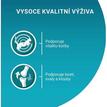 Purina One Adult Mini filetky s kuraťom a zelenými fazuľkami v šťave 26 x 85 g