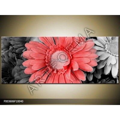 Gerbery plátno 1 100x40