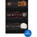 Ample Sound Ample 3in1 Ethno Bundle (Дигитален продукт)