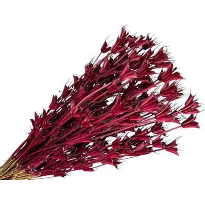 Sušené kvety Černuška - Nigella orientalis 80g - bordové