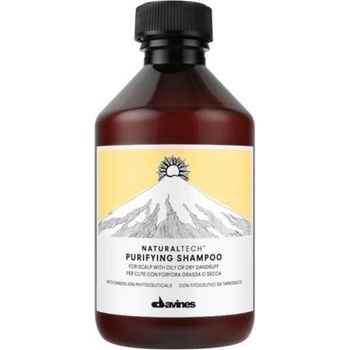 Davines Naturaltech Purifying Shampoo 100 ml