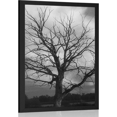 Plakát černobílý strom na louce - 20x30 black